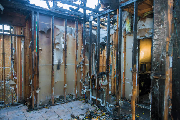 Professional Fire Damage Assessment technician working in Stockton, IL